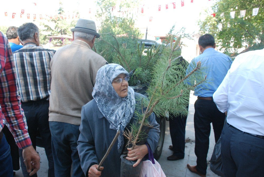 Çevre Gününde Halka Fidan Dağıtıldı