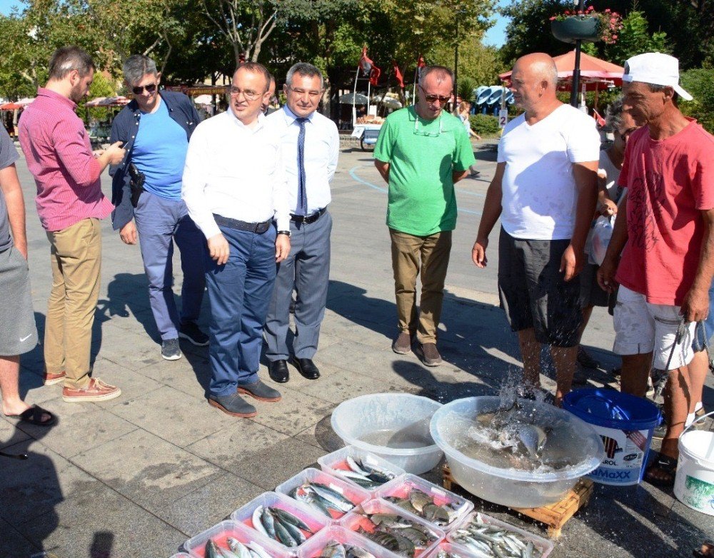 Çanakkale Balık İhracatında Önemli Noktada