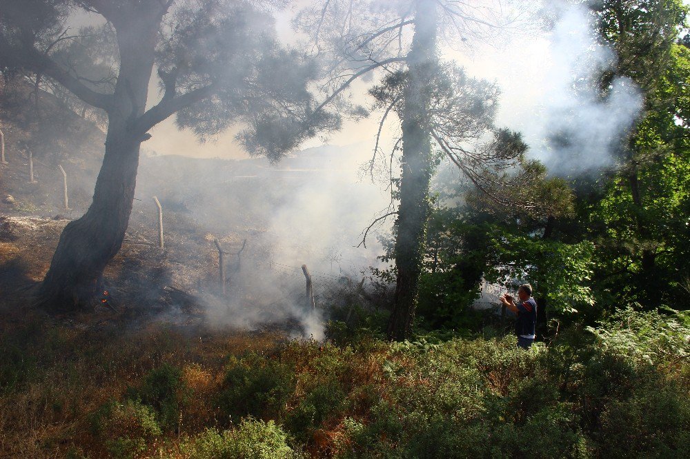 Kazdağları’ndaki Yangın Korkuttu