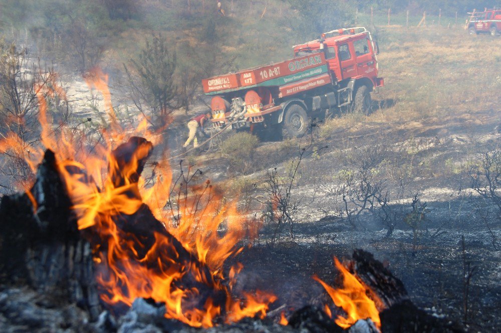 Kazdağları’ndaki Yangın Korkuttu