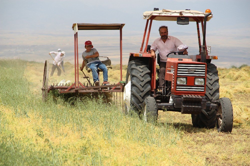 Batman’da 40 Derecede Hasat