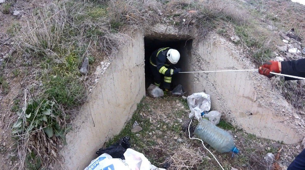 Menfezde Sıkışan İki Danayı İtfaiye Ekipleri Kurtardı