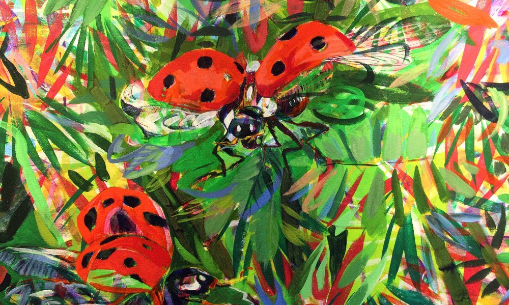 Kınkanatlılar Çankaya’da