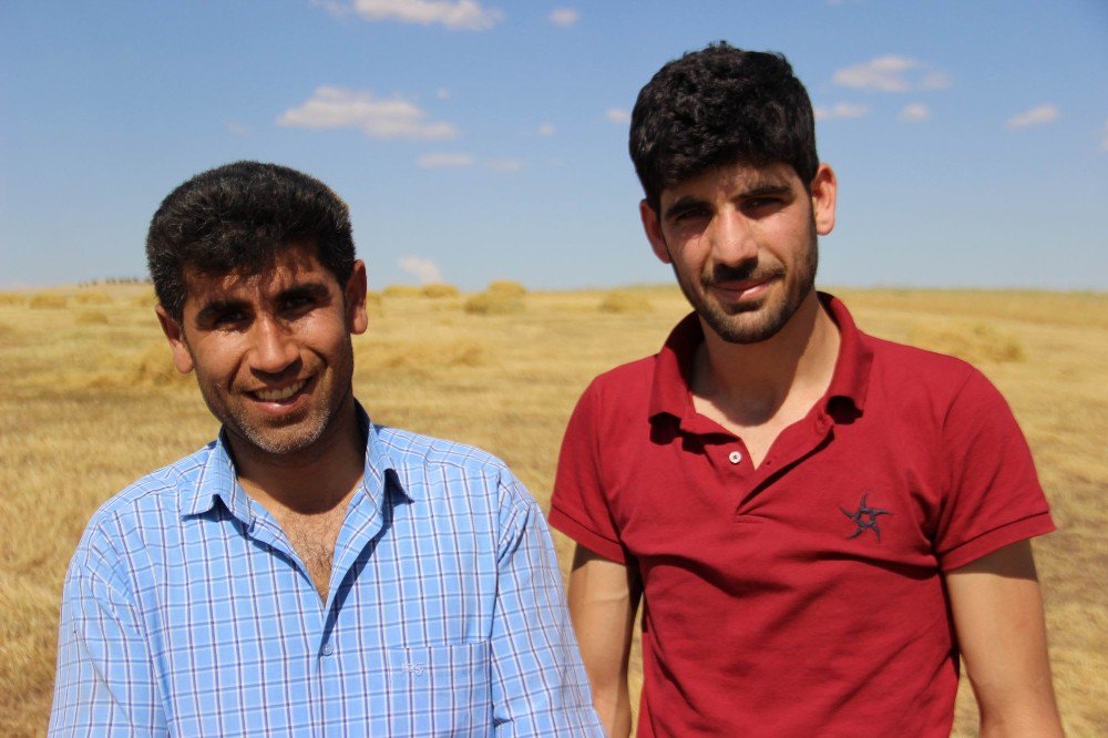 Çiftçilerin Ramazan’da Zorlu Hasat Mesaisi