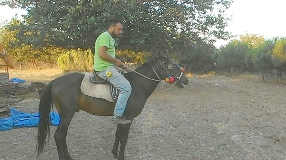 Atı Tüfekle Öldürmüştü, Karar Çıktı