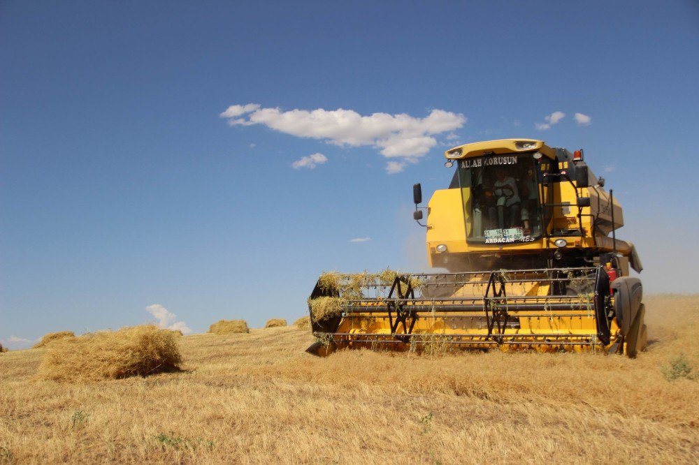 Çiftçilerin Ramazan’da Zorlu Hasat Mesaisi