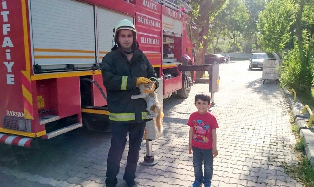 İtfaiye Ekipleri Küçük Çocuğun İhbarı Üzerine Ağaçtaki Kediyi Kurtardı