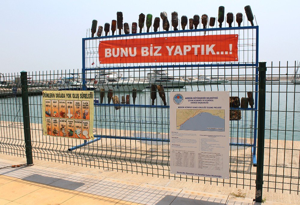 Denizden Çıkanlar Görenleri Şaşırttı