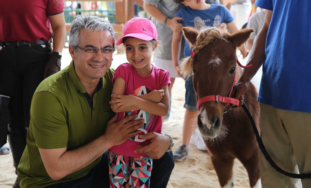 Atla Terapi Umut Oldu