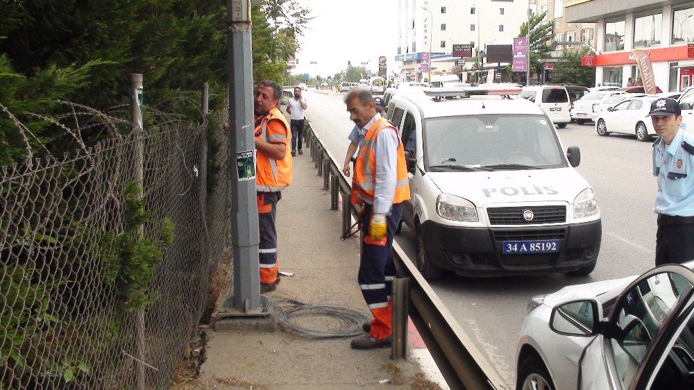 Sultanbeyli’de Bonzai İçilen Alana ’Tel Örgülü’ Önlem