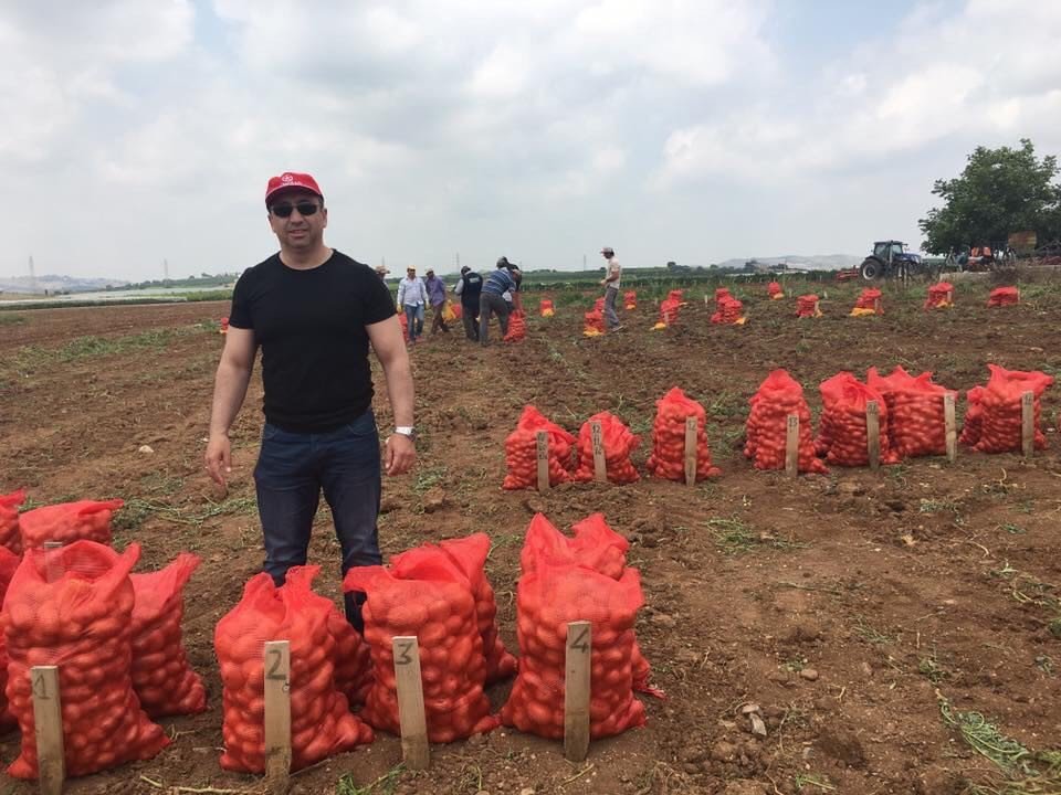 Tescilli Yerli Patateslerin Hasadı Yapılıyor