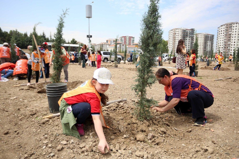 Yenimahalle’ye Kanada Koruluğu