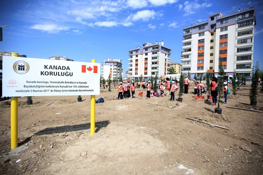 Yenimahalle’ye Kanada Koruluğu
