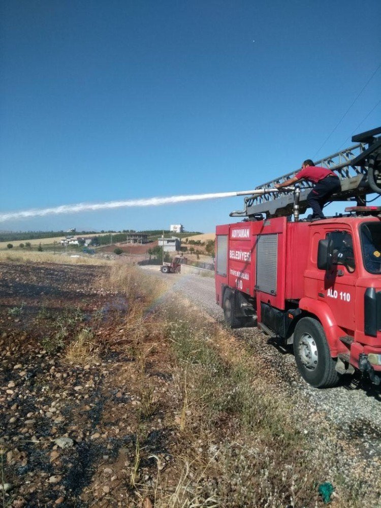 Adıyaman’da Tarla Yangını: 2 Dönümlük Buğday Kül Oldu