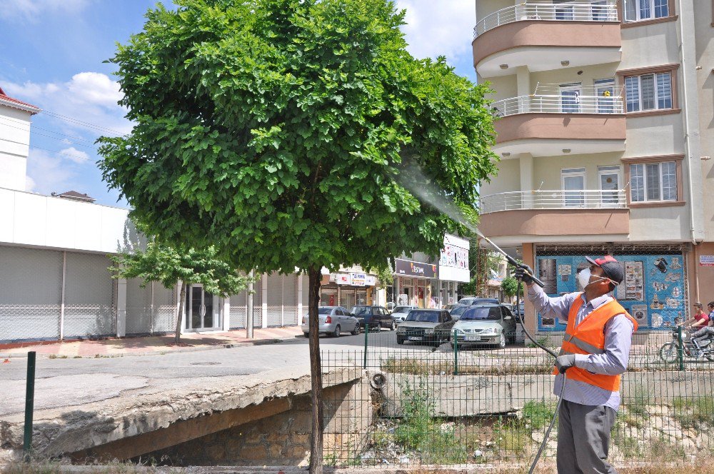 Karasineklere Karşı İlaçlama Çalışması Yapılıyor