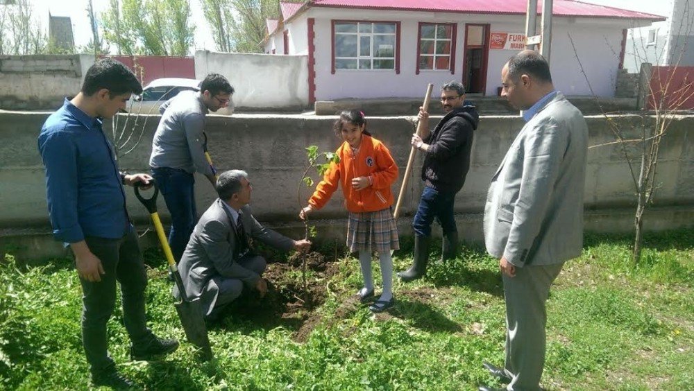 Ağrı’da Okul Bahçelerine Fidan Dikimi Yapıldı