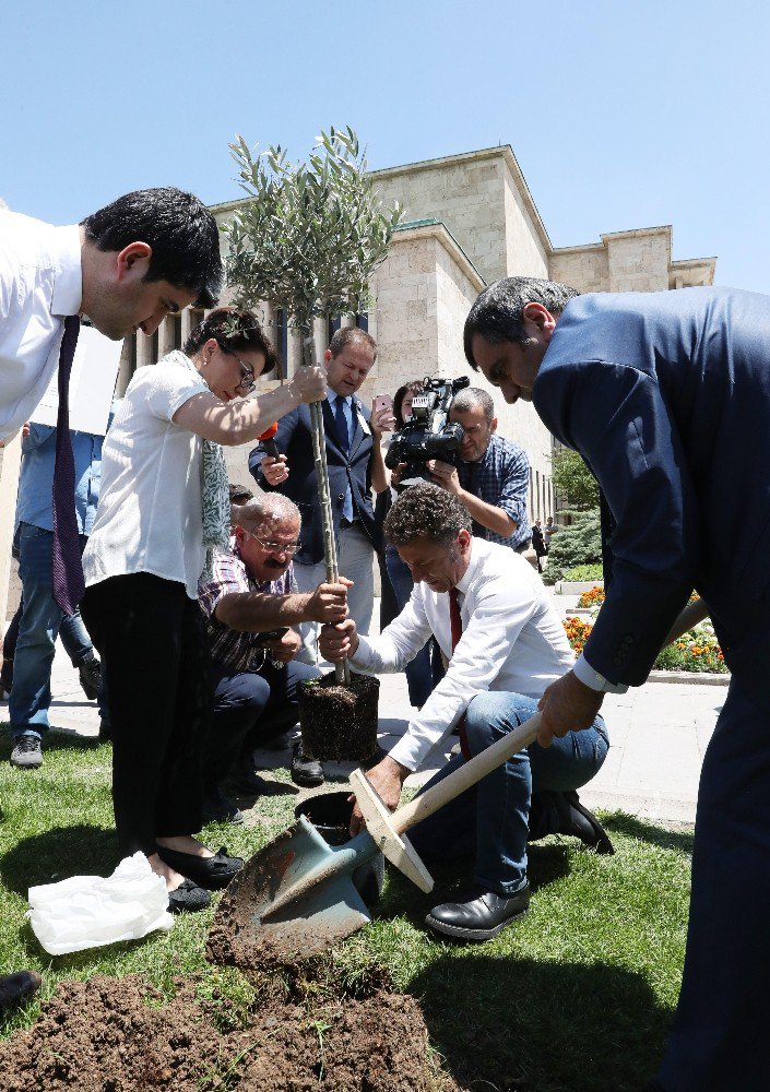 Chp Milletvekillerinden Zeytinlik Protestosu