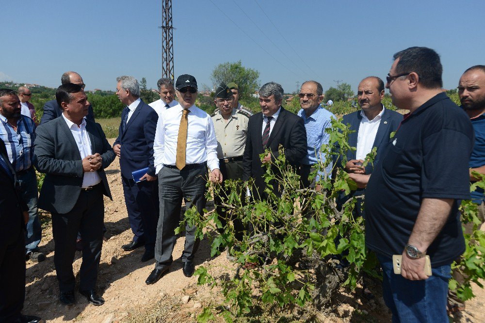 Vali Altıparmak, Dolunun Vurduğu Tarım Arazilerini İnceledi