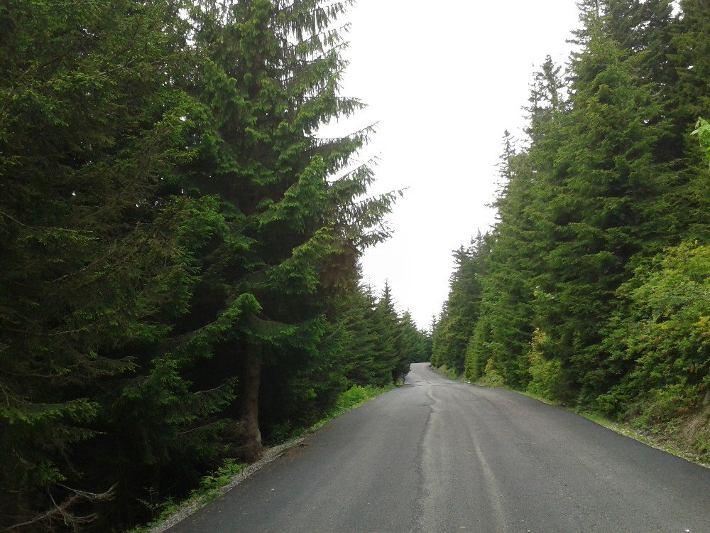 Yayla Yolları Yeşil Yol Projesiyle Birleştirilmeye Devam Ediyor