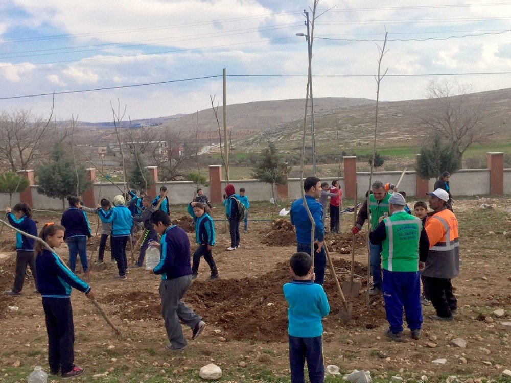 Gaziantep’te Okullar Yeşeriyor