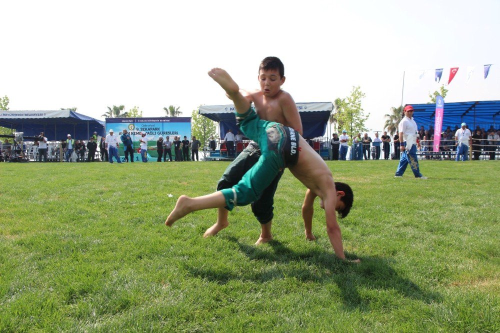 Altın Kemer Yağlı Güreşleri Kaldığı Yerden Devam