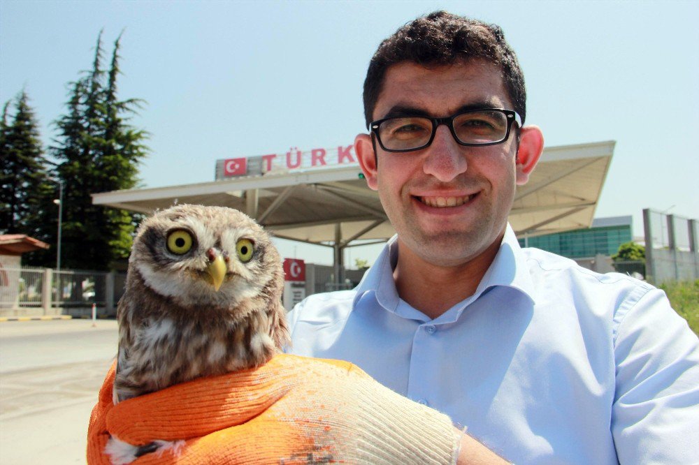 Türk Gümrükçüden Örnek Hayvan Sevgisi