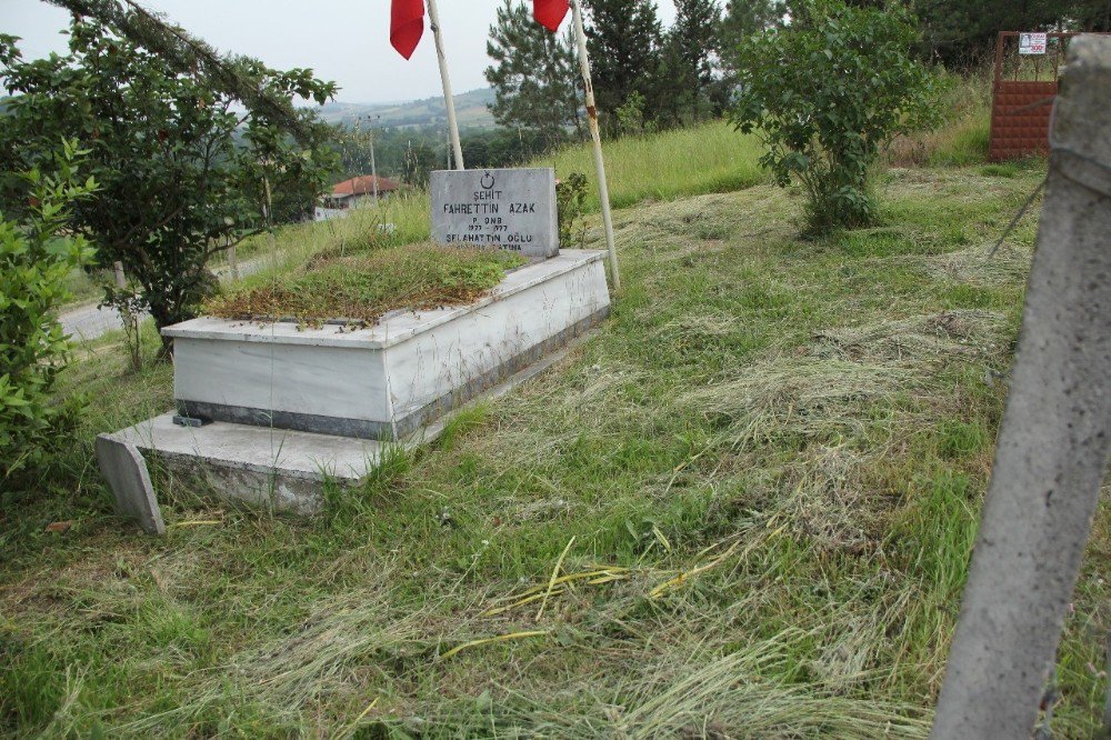 Şehit Mezarı Bakıma Muhtaç Kaldı