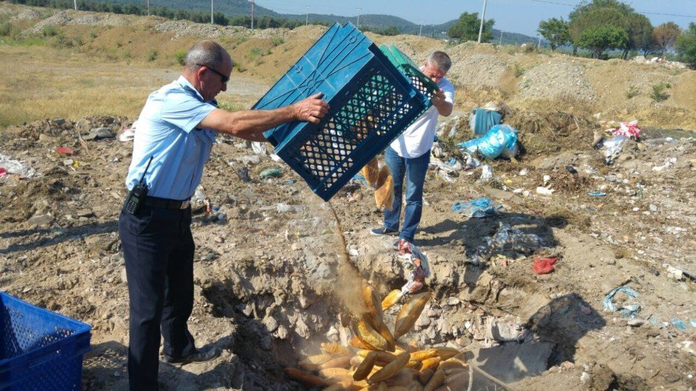 Balıkesir’de Sinek İlacı Bulaşan 250 Ekmek İmha Edildi