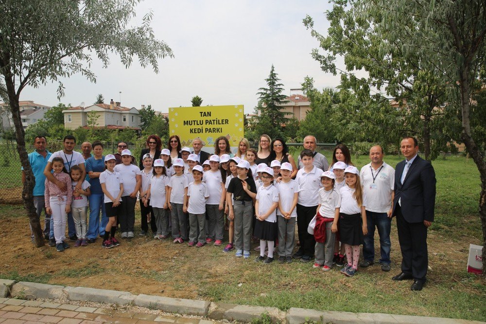 Nilüfer’in İlk Kedi Parkı Öğrencilerin Desteğiyle Açıldı