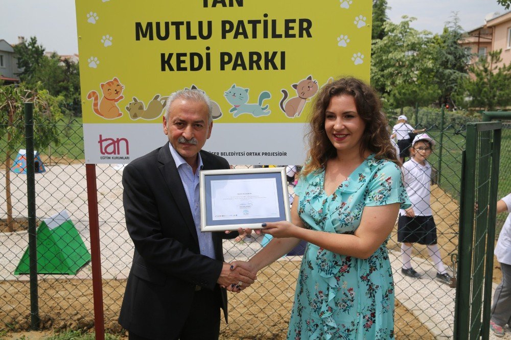 Nilüfer’in İlk Kedi Parkı Öğrencilerin Desteğiyle Açıldı