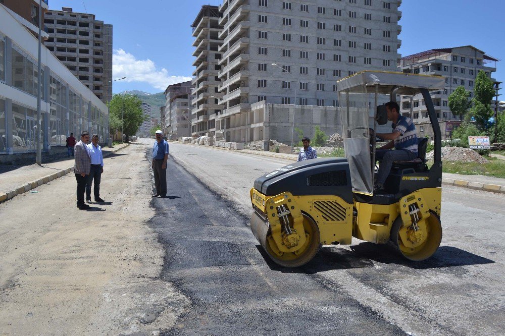 Muş Belediyesi Tahrip Olan Yolları Onarıyor