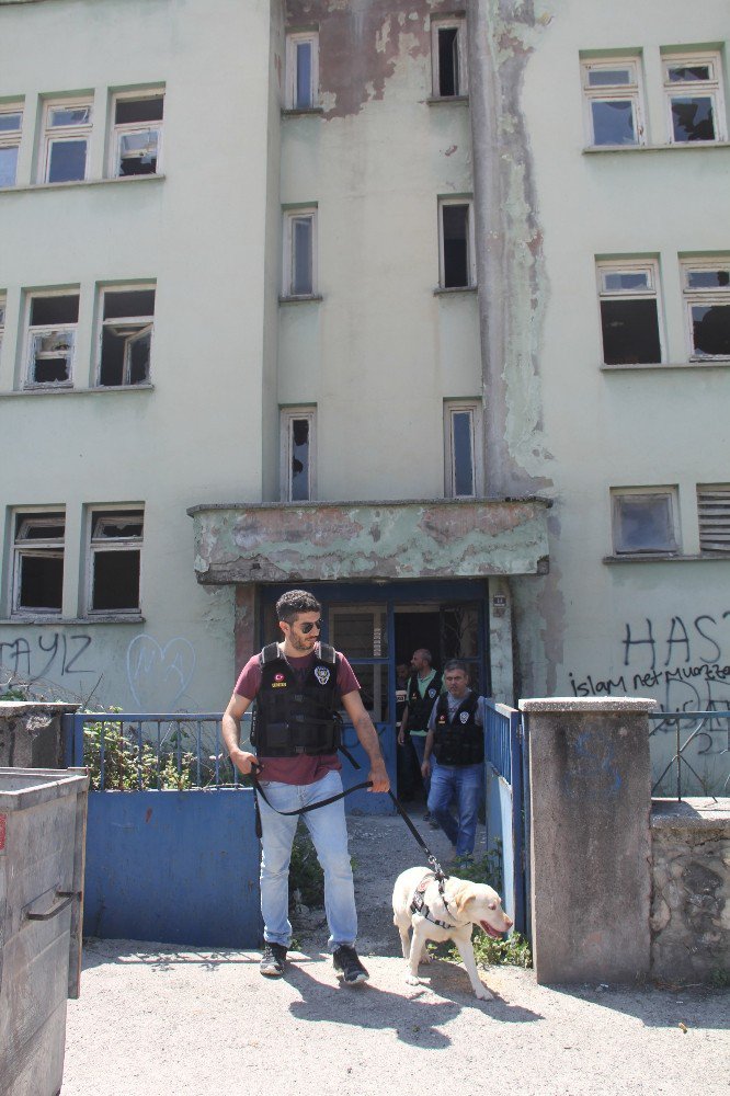 Bozkurt’ta Polis Ekipleri Uyuşturucuya Savaş Açtı