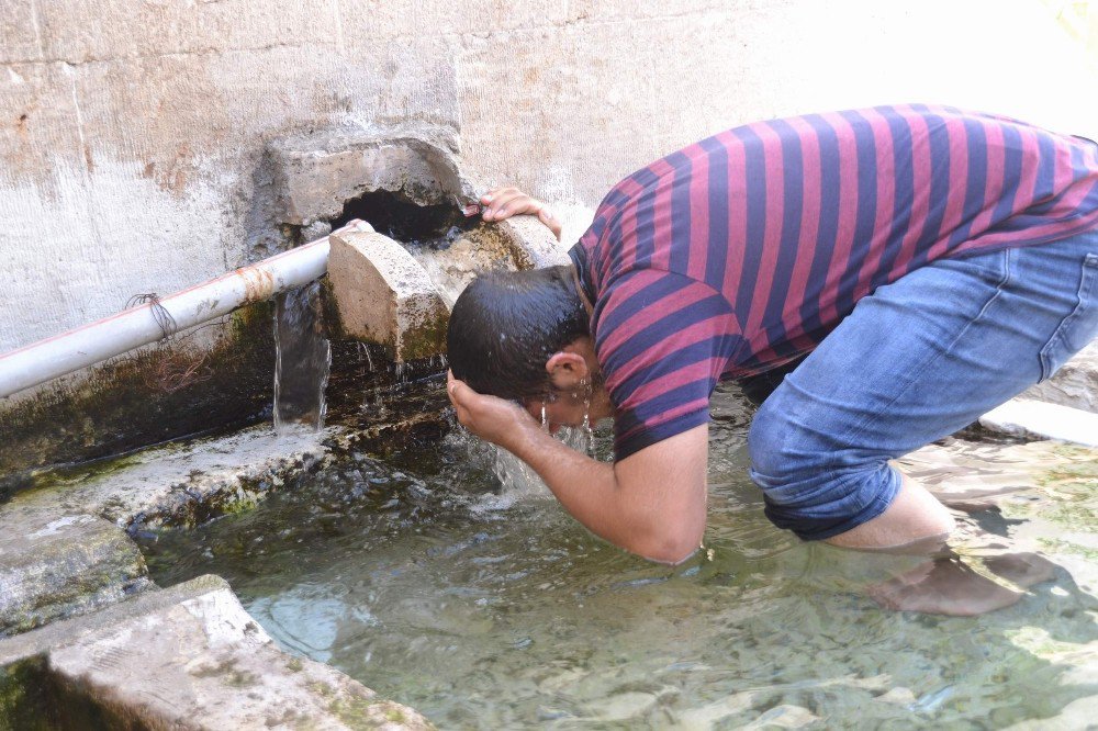 Siirt’te Hava Sıcaklığı 32 Dereceye Çıktı