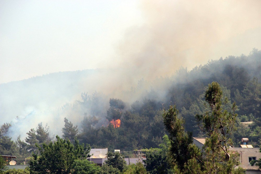 Hatay’da Terör Saldırısı