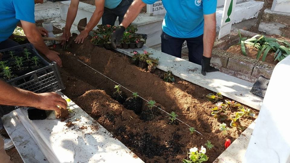 Mezarlıklar Çiçek Açmaya Başladı