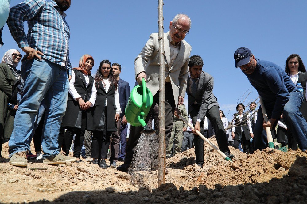 Ramazanın Sıcağında Ağaçlara Can Verdi