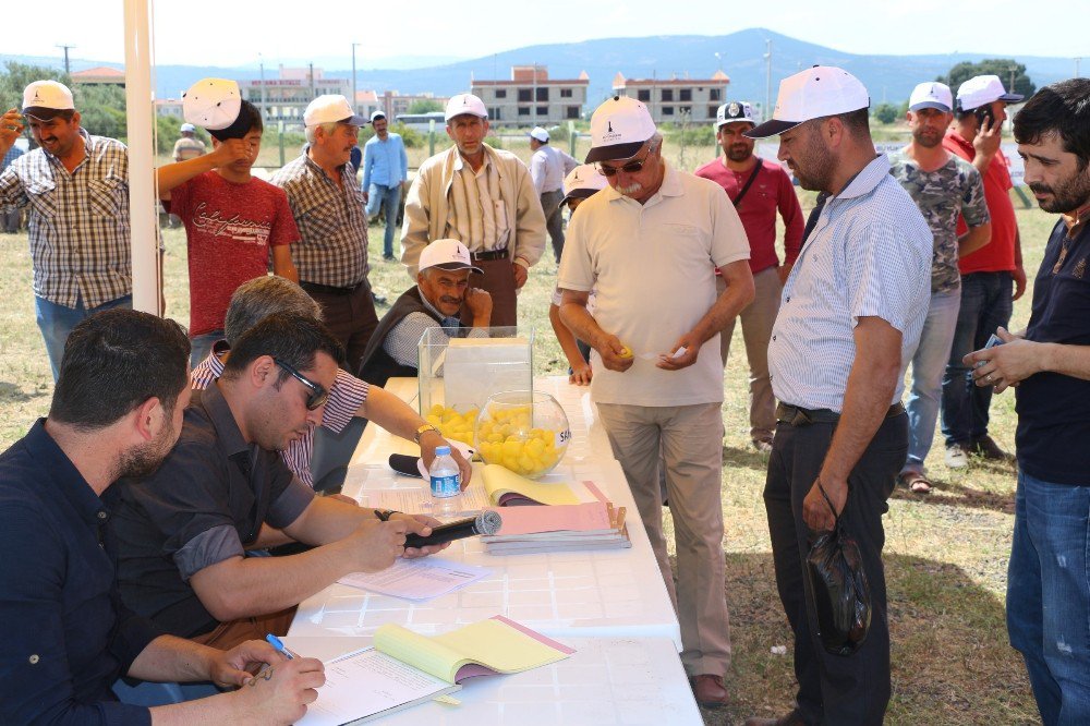 İzmir’de Sürü Bereketi