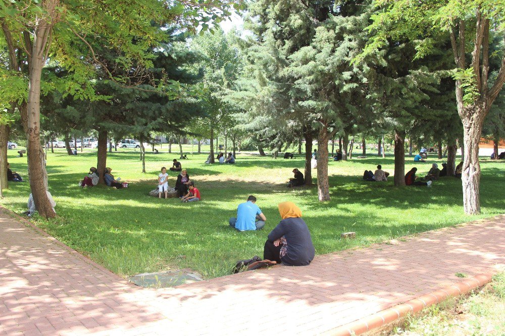 Gaziantep’te Lys Heyecanı