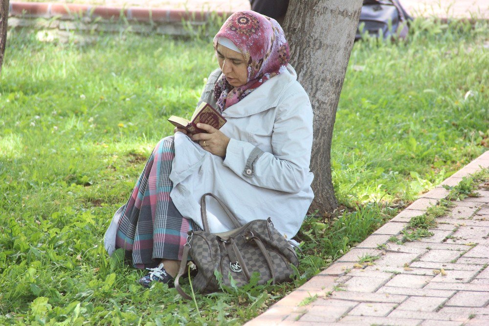 Gaziantep’te Lys Heyecanı