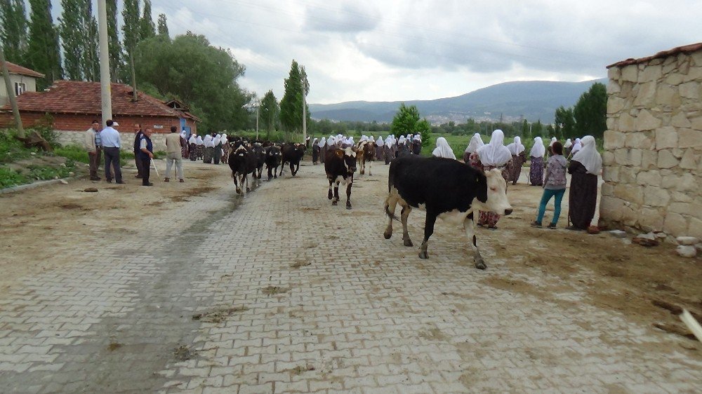 Balta, Tırpan Ve Tarım Aletleriyle Eylem Yapan İnköy Mahallesi Sakinleri, Sorunlarının Çözülmesini İstiyor