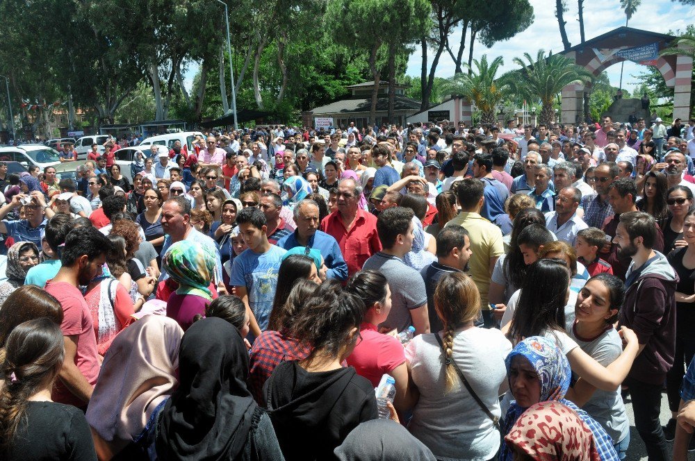 Lys Heyecanı Nazilli’de İlk Kez Yaşandı