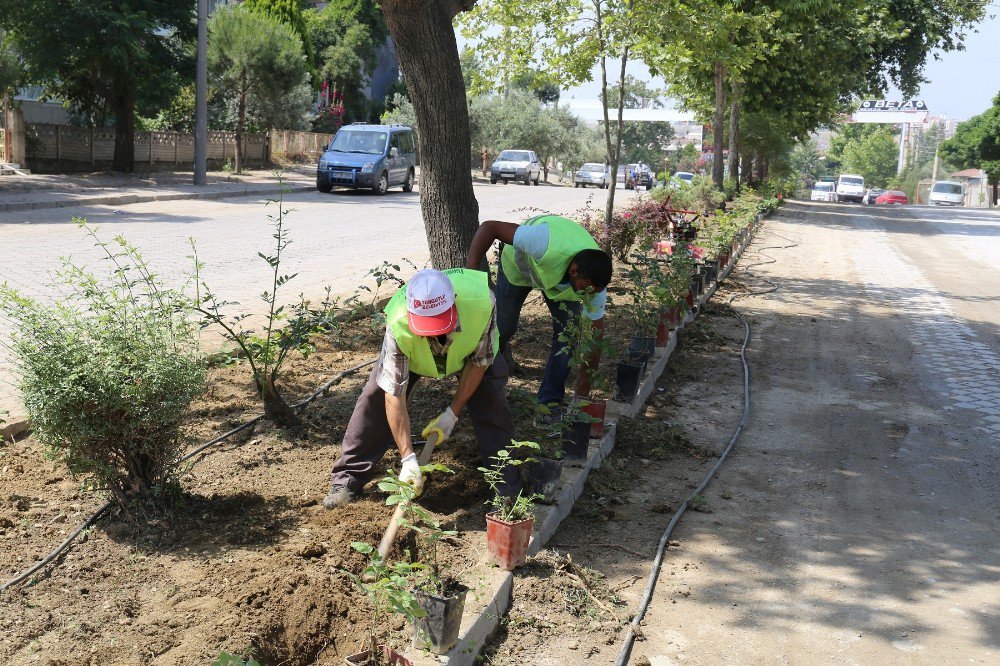 Turgutlu’da Refüjler Güllerle Donatılıyor