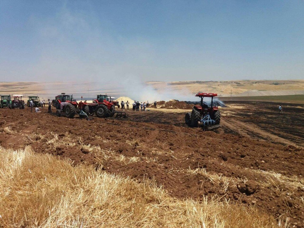 Yangında 50 Dönümlük Buğday Ve Arpa Kül Oldu