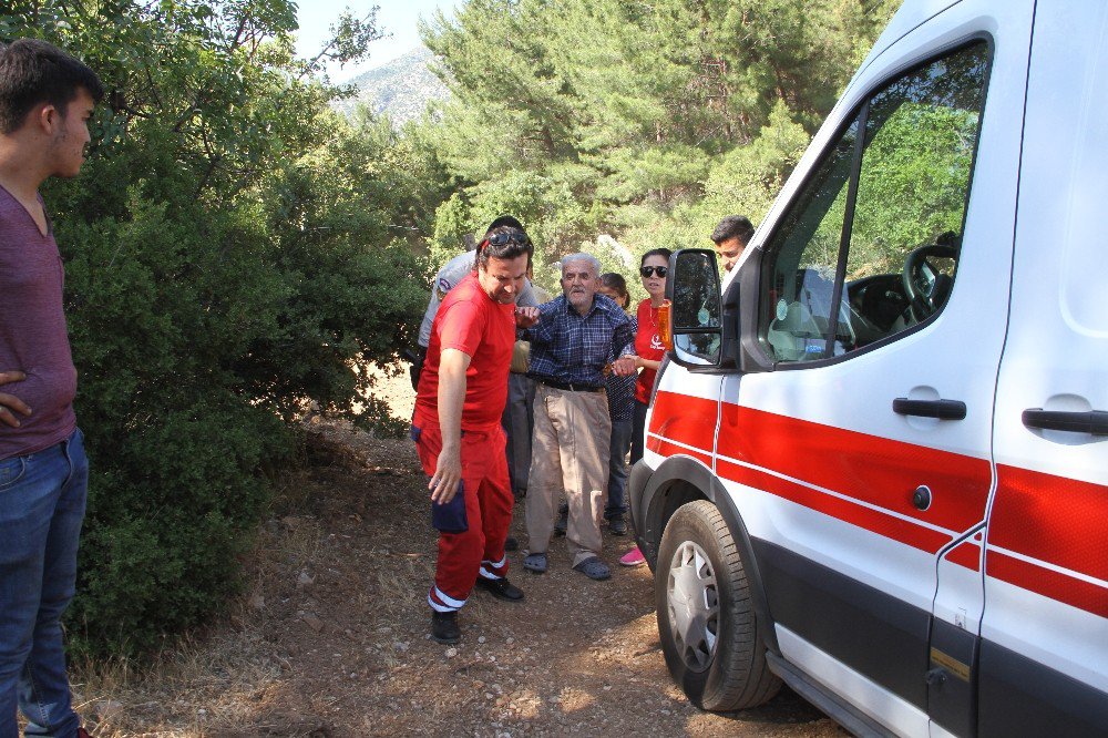 Alzheimer Hastası Yaşlı Adam Ormanlık Alanda Bulundu