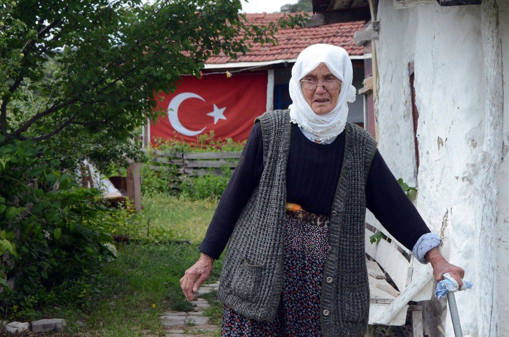 Hesna Nene 50 Yıl Sonra Umutlandı