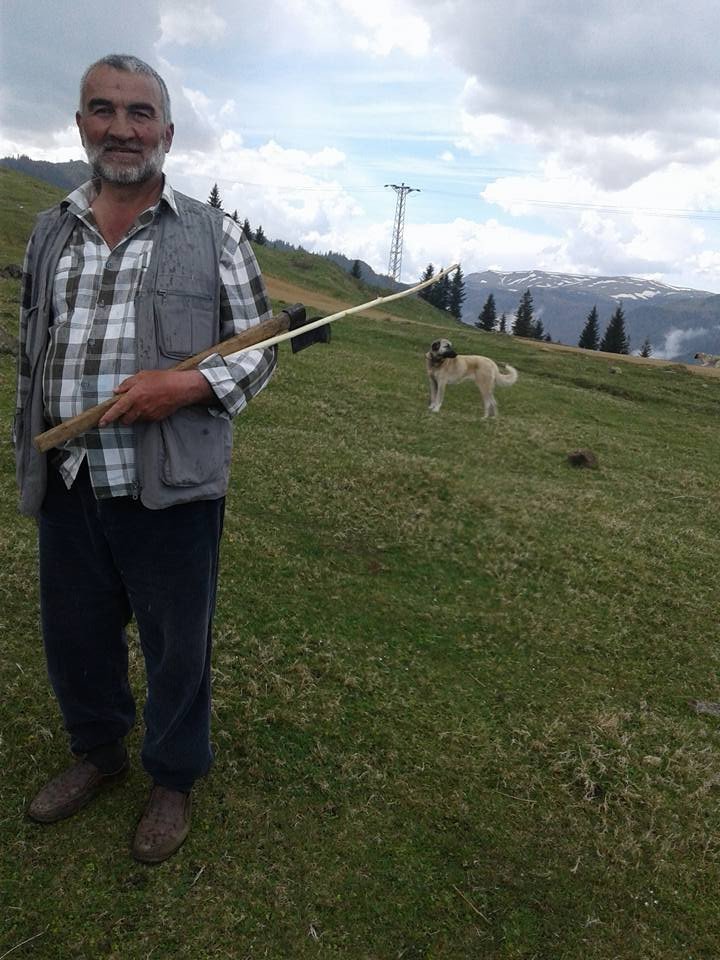 Giresunlu Yaylacıların Yayla Sorunu