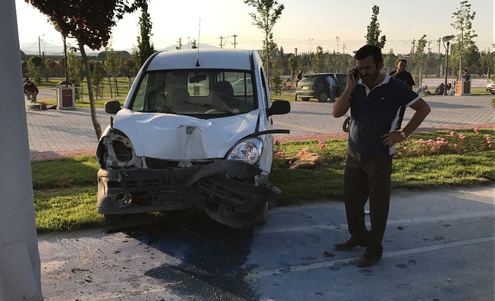 Önce Köpeğe Sonra Direğe Çarpan Aracın Sürücüsü Yaralandı