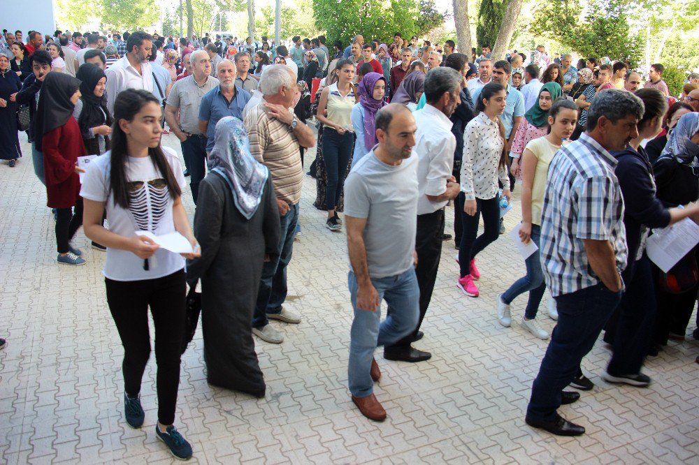 Elazığ’da Lys Heyecanı