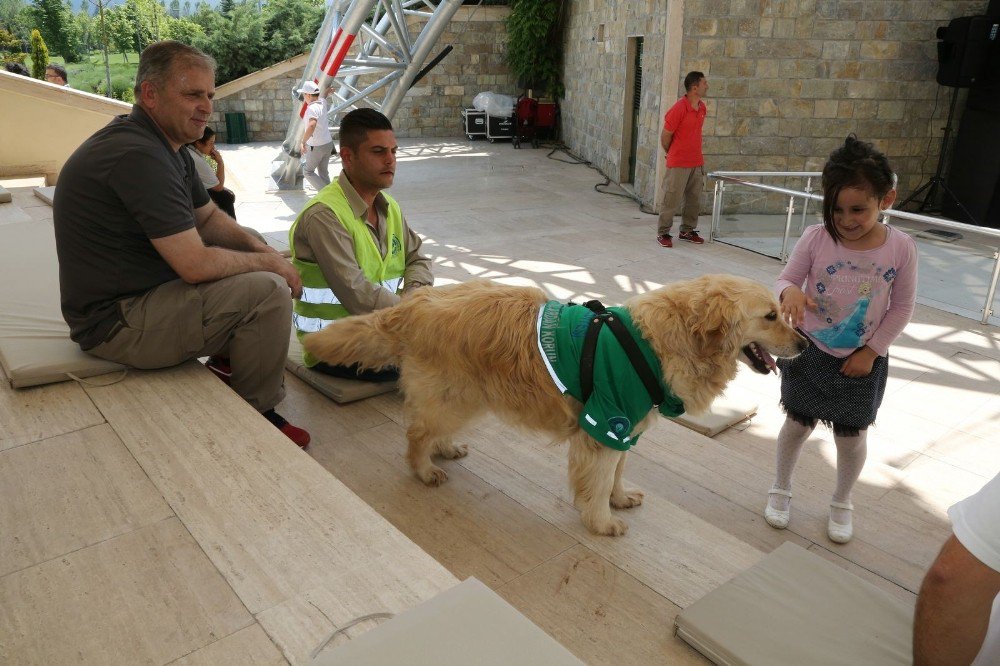 Odunpazarı’nın Çevreci Köpeği Abdiş