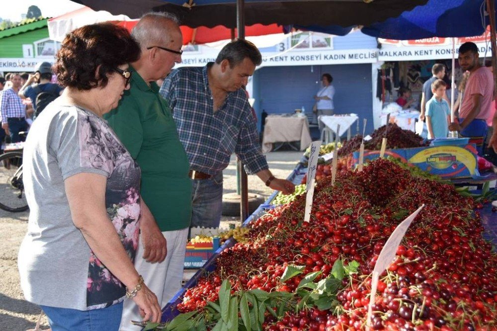 Başkan Albayrak Festival Alanındaki Stantları İnceledi